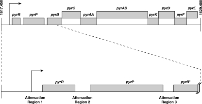 FIG. 10.