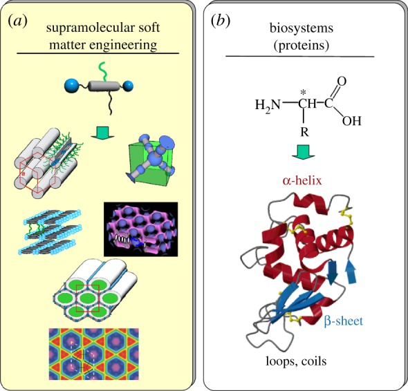 Figure 13.