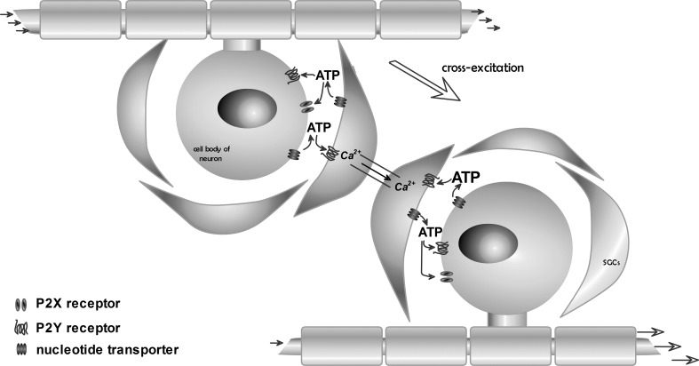 Fig. 2