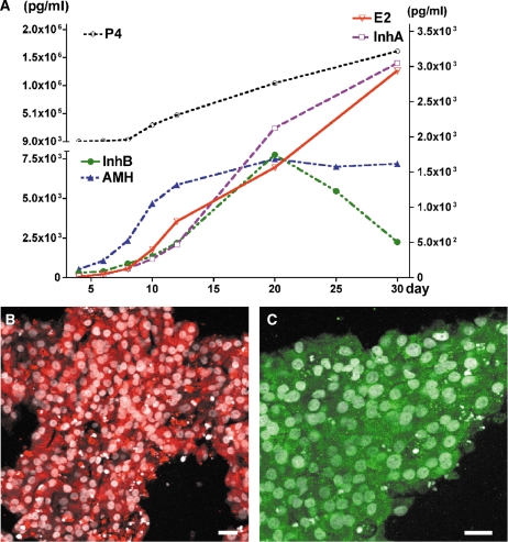 Figure 4