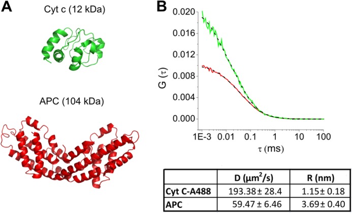 FIGURE 2.