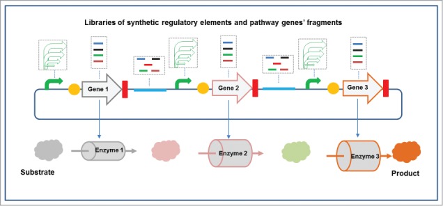 Figure 2.