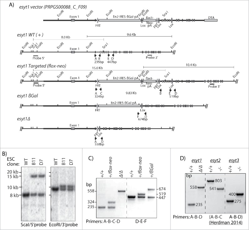 Figure 1.