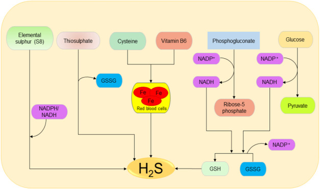 FIGURE 2