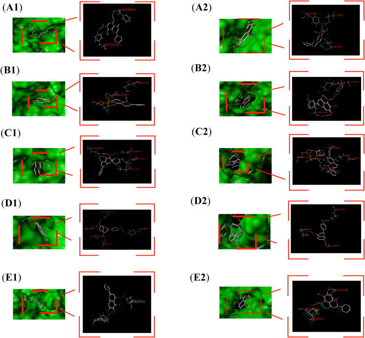 Figure 5