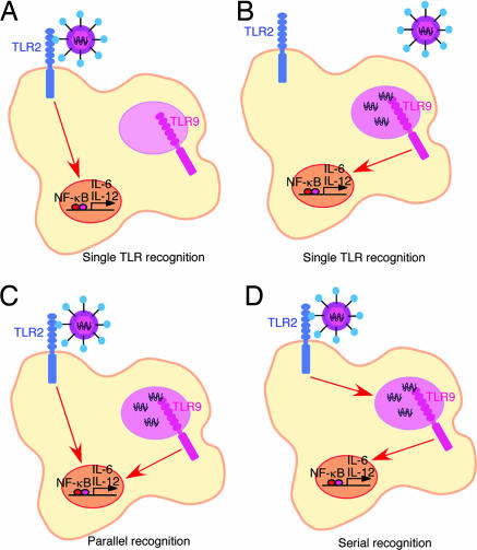 Fig. 3.