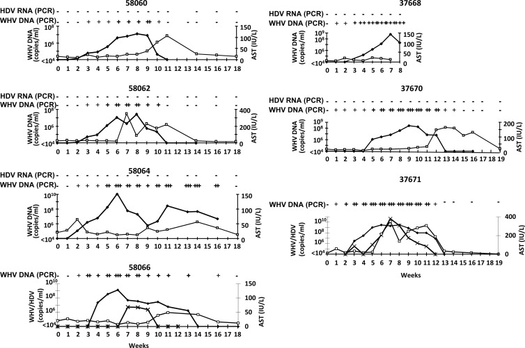 Fig 4