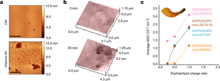 Fig. 4 |