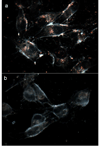 Figure 23