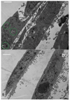 Figure 24