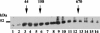 FIG. 9.