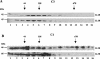 FIG. 7.