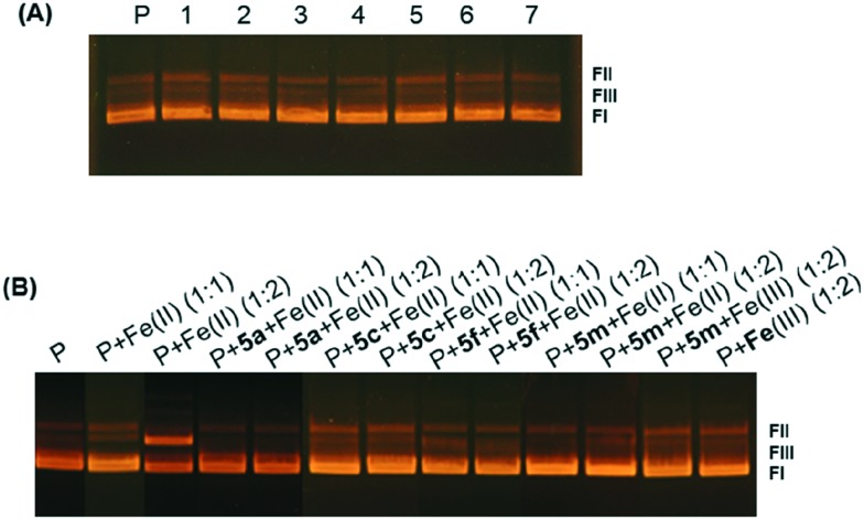 Fig. 10