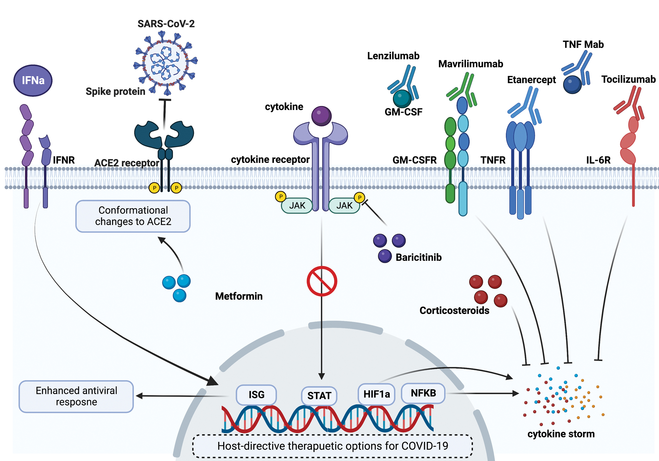 Figure 3: