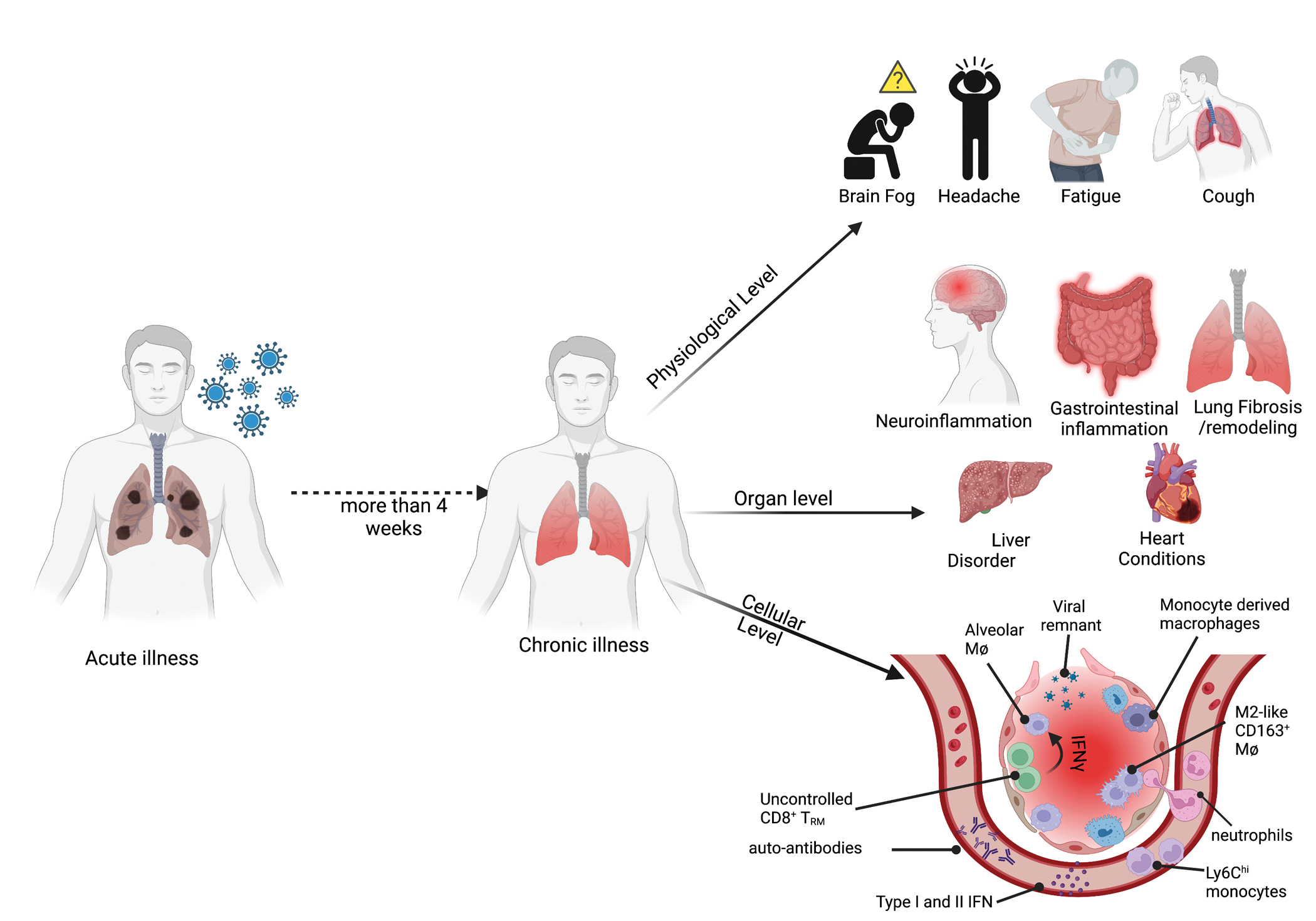 Figure 4: