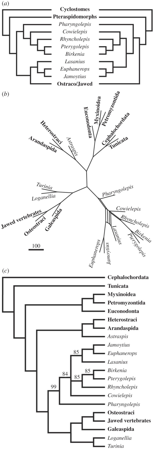 Figure 5.