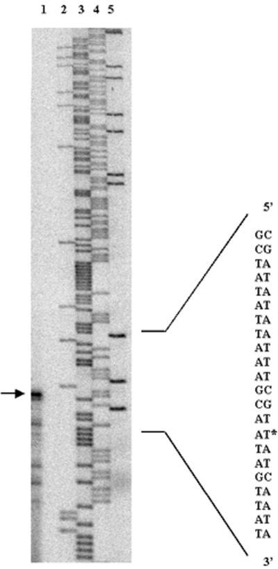 FIG. 4