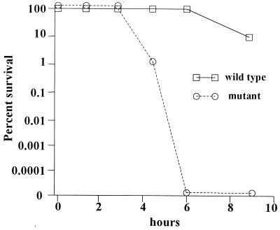 FIG. 6