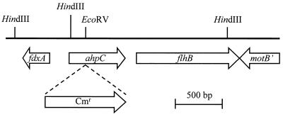 FIG. 3