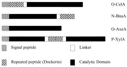 FIG. 6