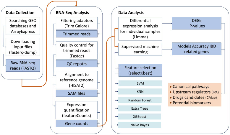 Figure 1