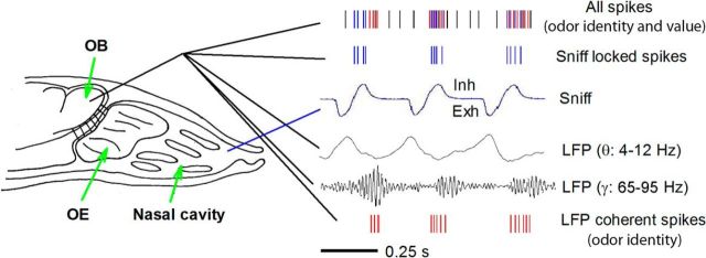 Figure 11.