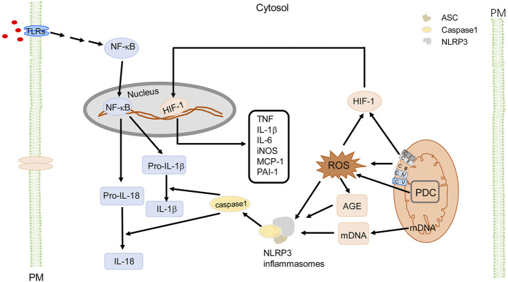 FIGURE 4