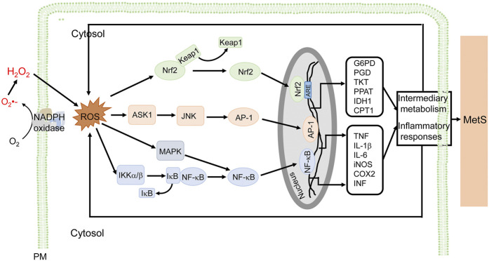 FIGURE 3