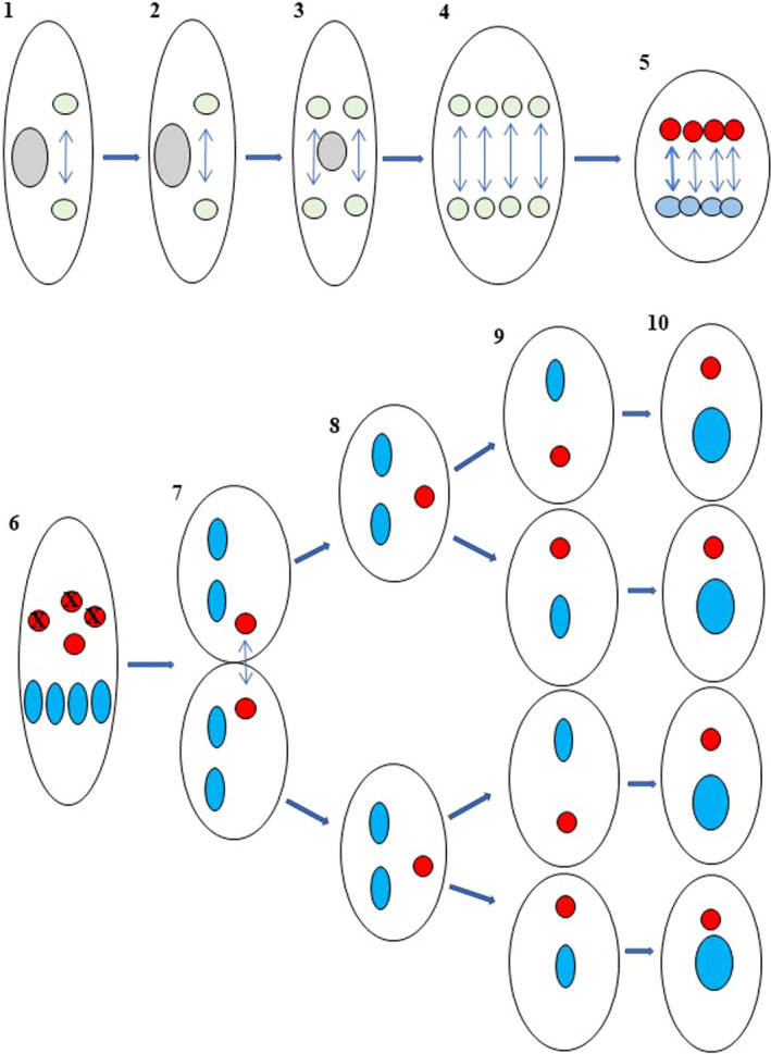 FIGURE 2