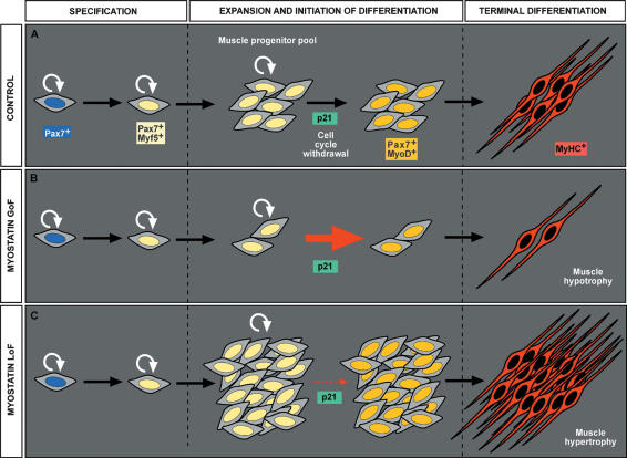 Figure 6.