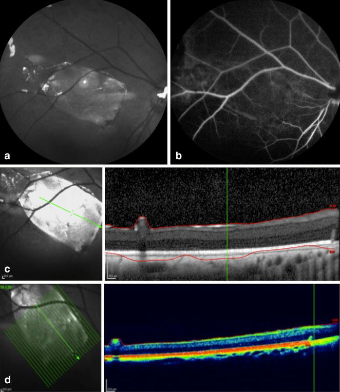 Fig. 7