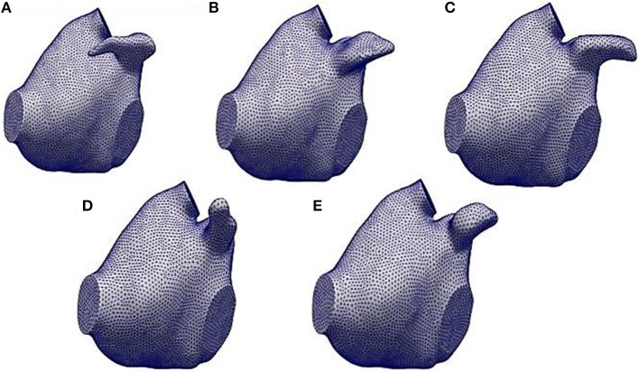 Figure 4