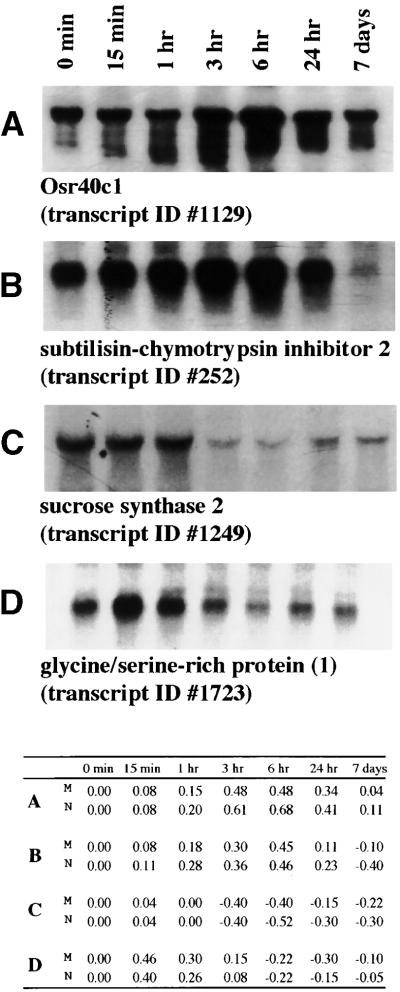 Figure 7.