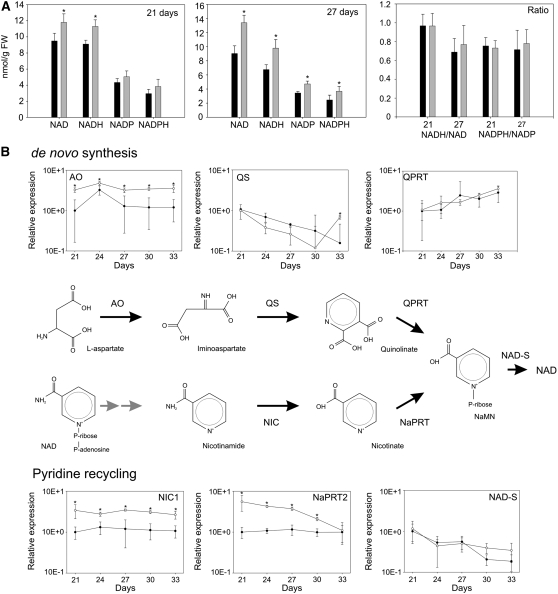 Figure 5.