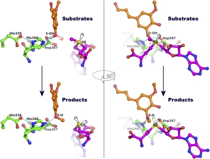 Figure 6.