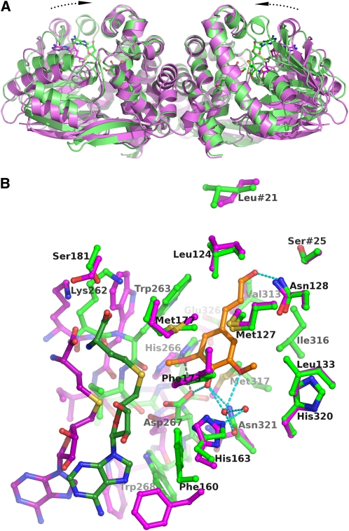 Figure 4.