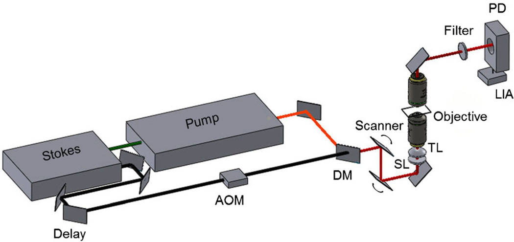 Fig. 1