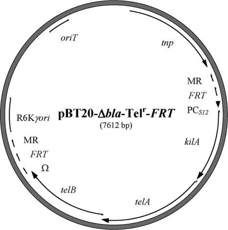 FIG. 1.