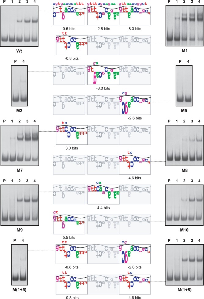 Figure 6.