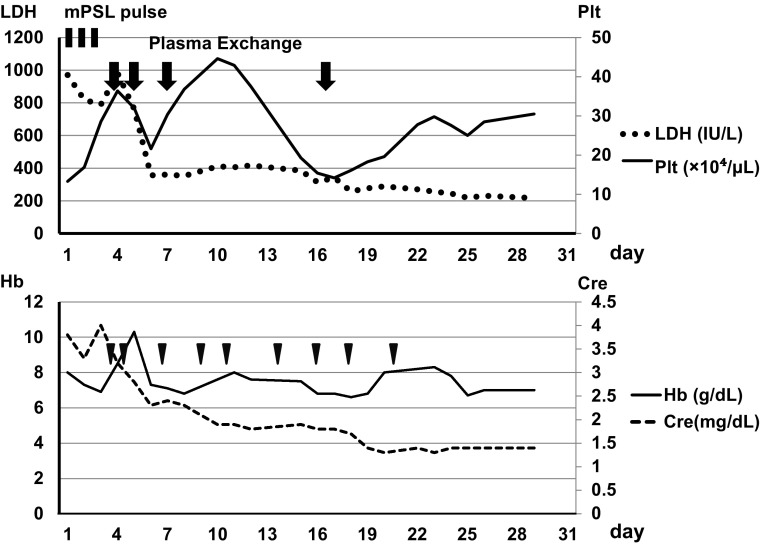 Fig. 2