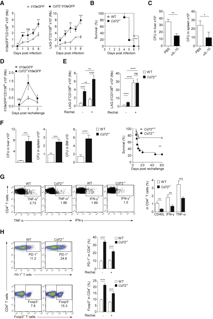 Figure 7