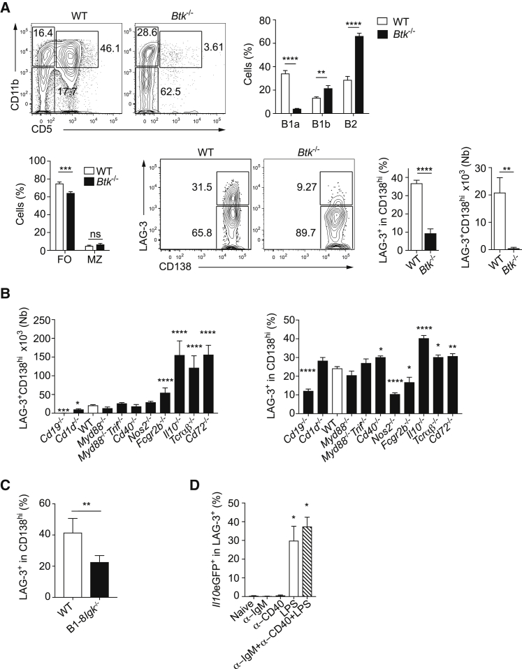 Figure 6