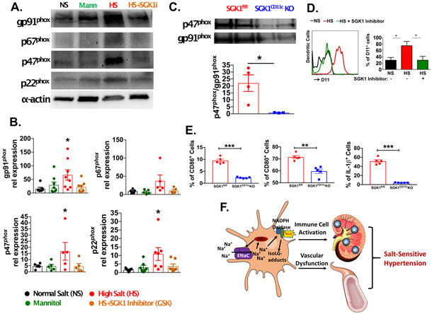 Figure 6: