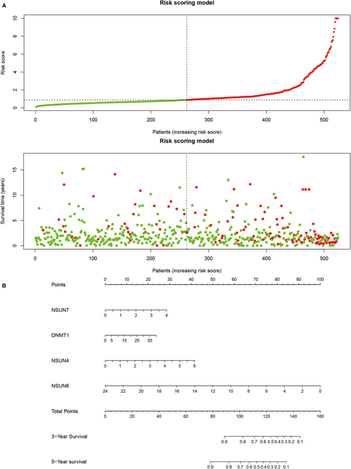 FIGURE 5