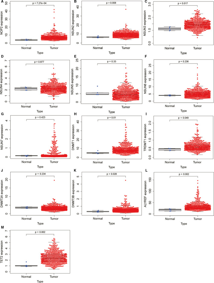 FIGURE 3