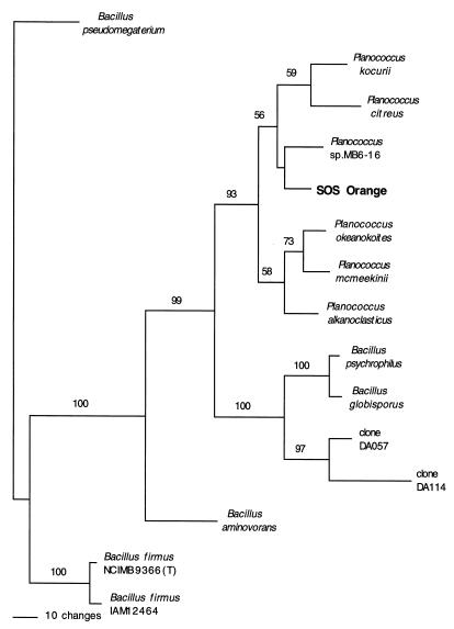 FIG. 1