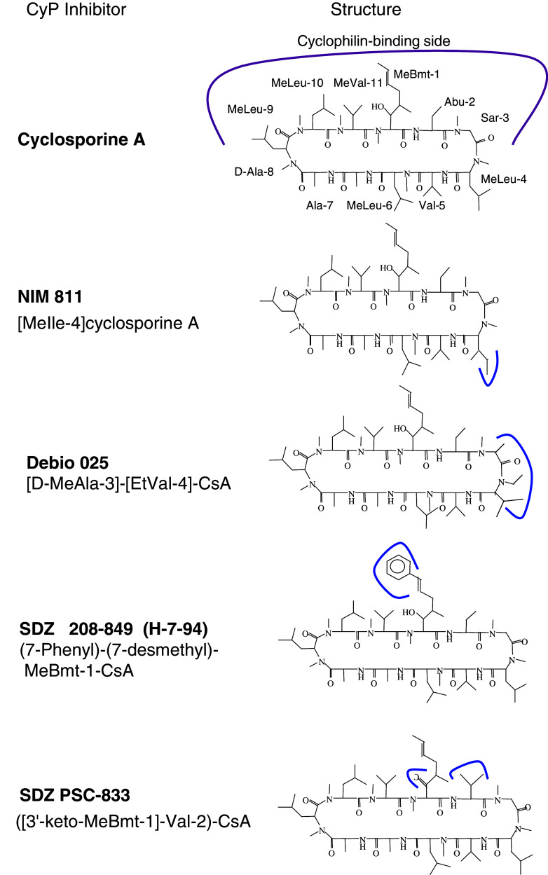 Fig. 8