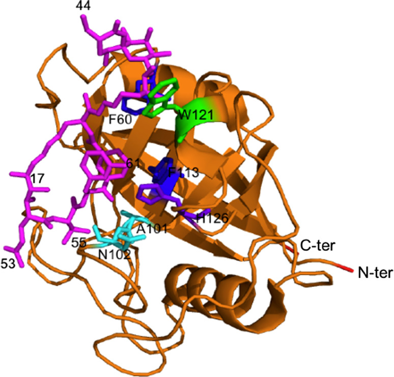 Fig. 2