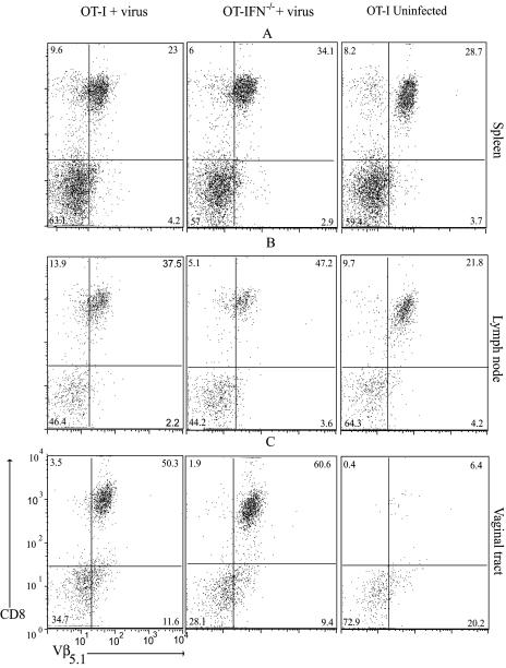 FIG. 6.