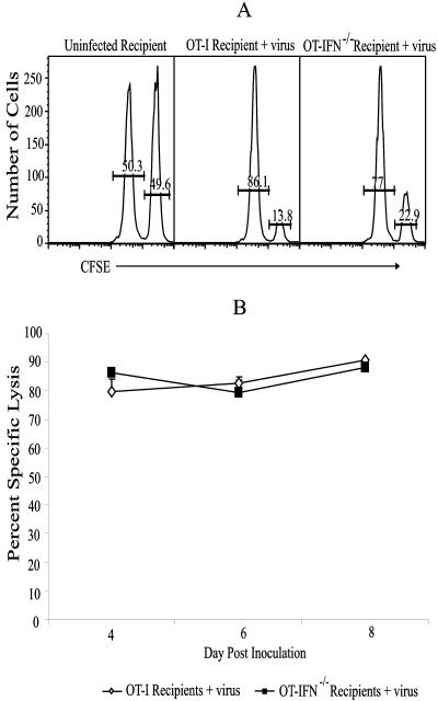 FIG. 5.